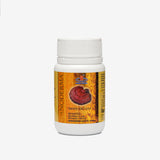 Ganoderma 90® - Saf Reishi (Ganoderma Lucidum) Kapsülleri
