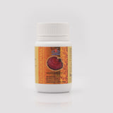 Ganoderma 90® - Saf Reishi (Ganoderma Lucidum) Kapsülleri